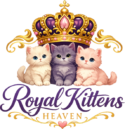 Royal Kittens Heaven